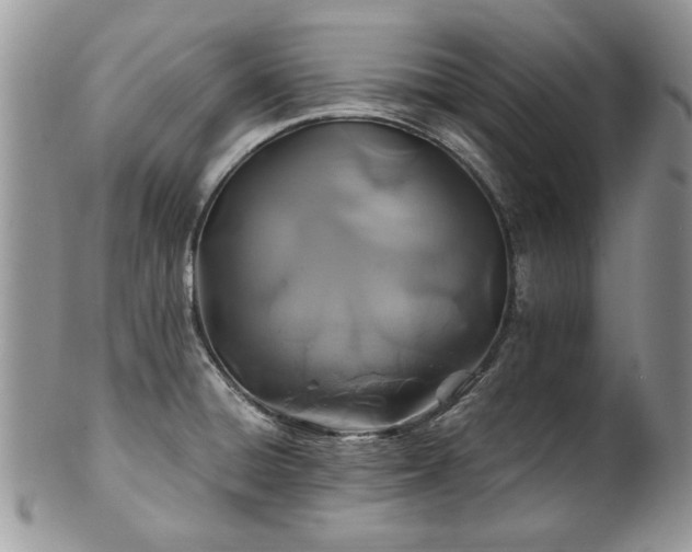 X0000100401428200806131004