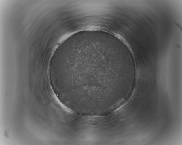 X0000100401429200806131004