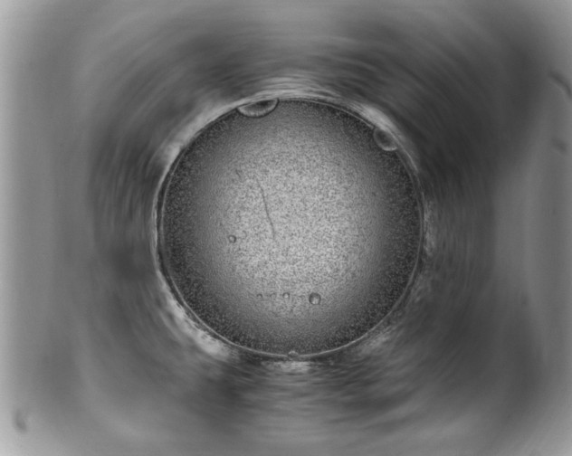 X0000100401431200806131004
