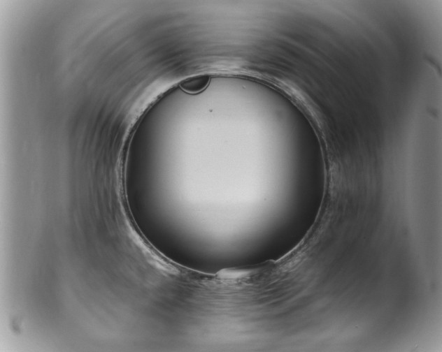X0000100401432200806131004