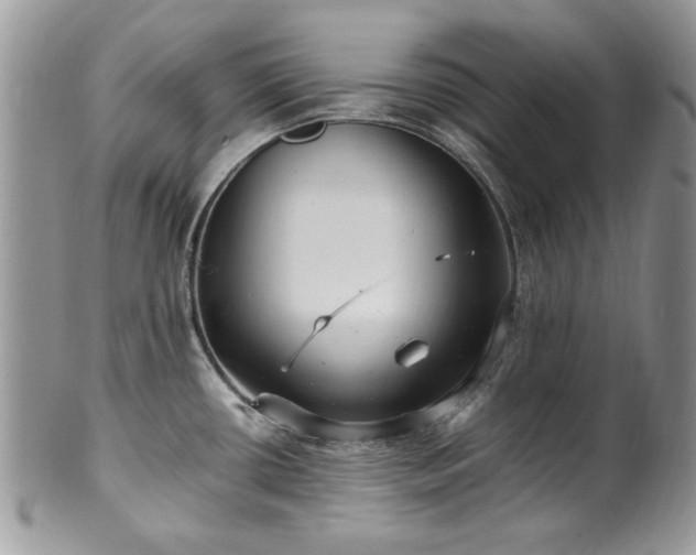 X0000100401434200806131004