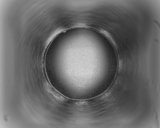 X0000100401435200806131004