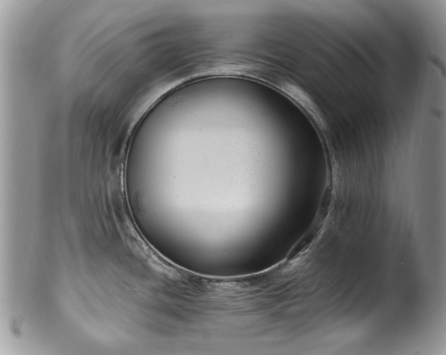 X0000100401436200806131004