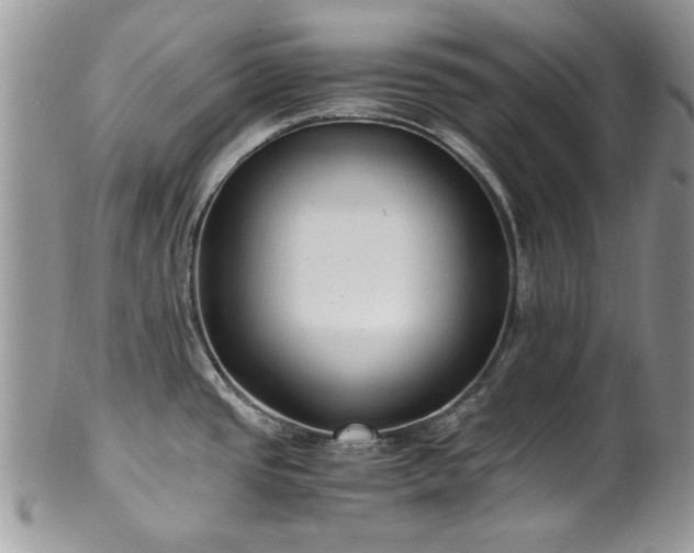 X0000100401437200806131004