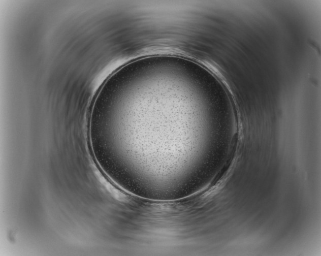 X0000100401438200806131004