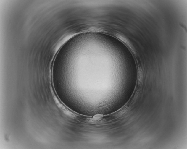 X0000100401439200806131004