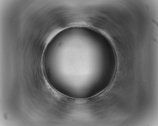 X0000100401440200806131004
