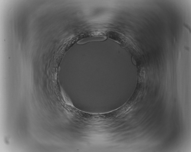 X0000100401441200806131003