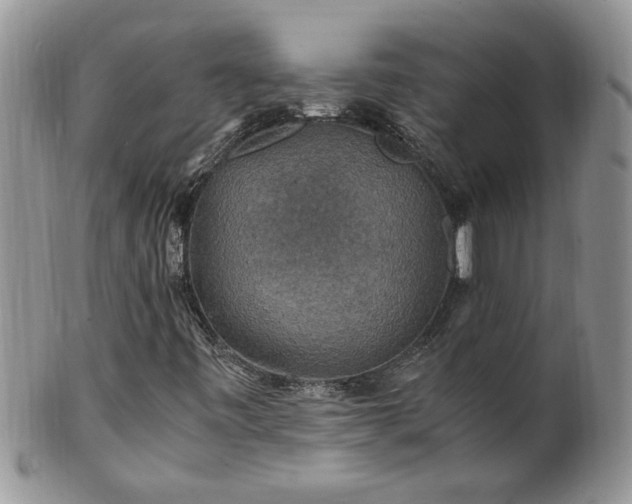 X0000100401443200806131003
