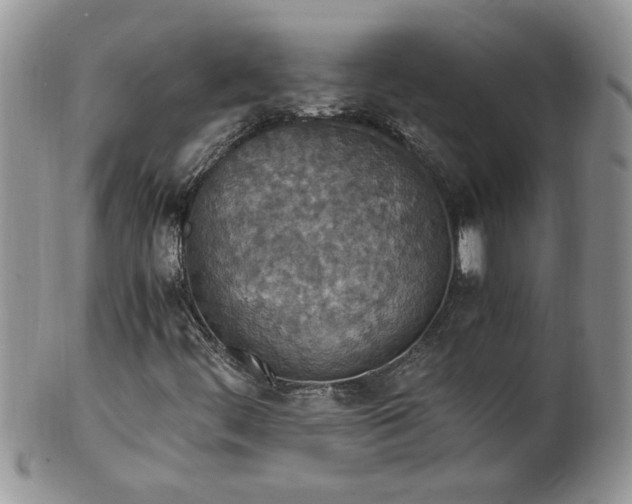 X0000100401444200806131003