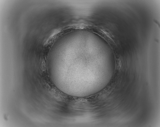 X0000100401446200806131003