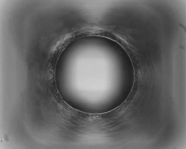 X0000100401447200806131003