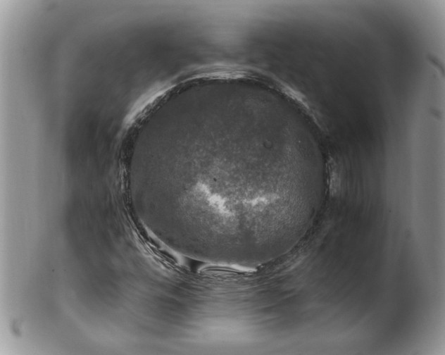 X0000100401448200806131003