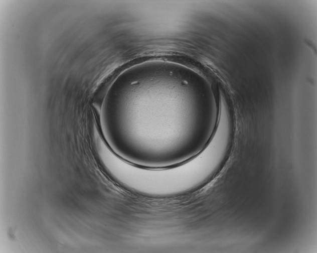 X0000100401449200806131003