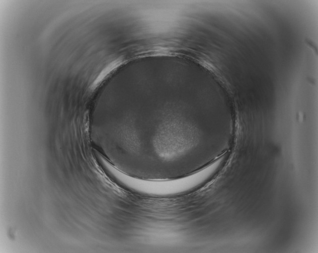 X0000100401450200806131003