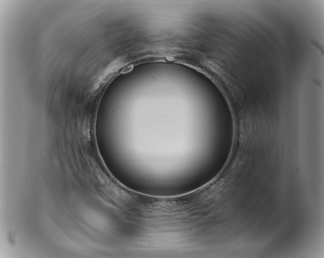 X0000100401451200806131003