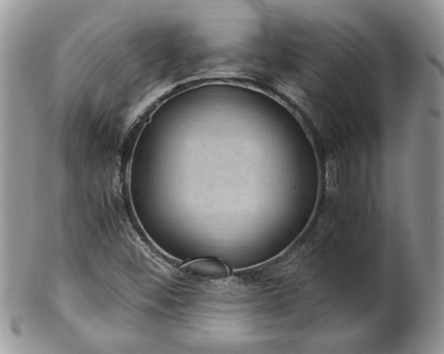 X0000100401452200806131003