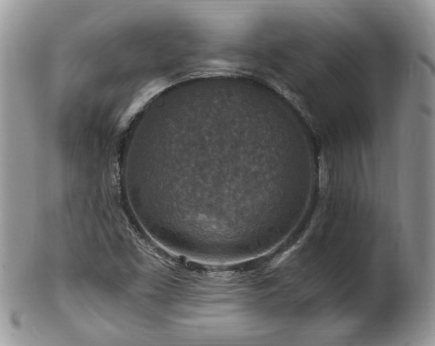 X0000100401453200806131003