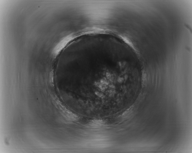 X0000100401455200806131003
