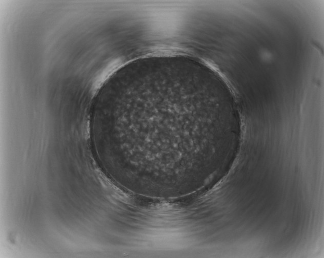 X0000100401459200806131003