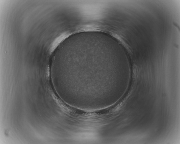 X0000100401461200806131003