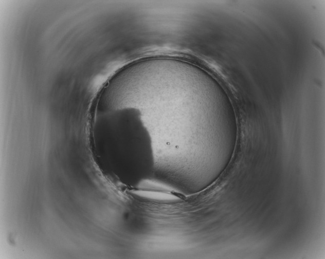 X0000100401463200806131003