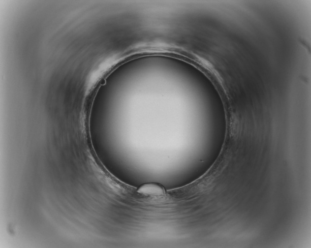 X0000100401464200806131003
