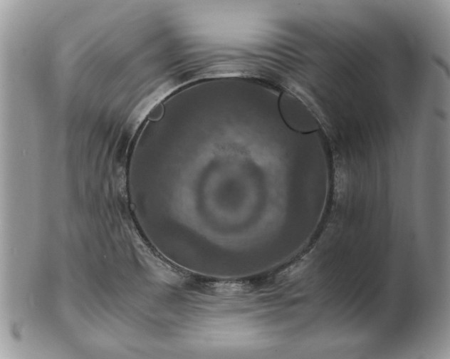 X0000100401465200806131003