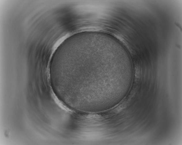 X0000100401466200806131003