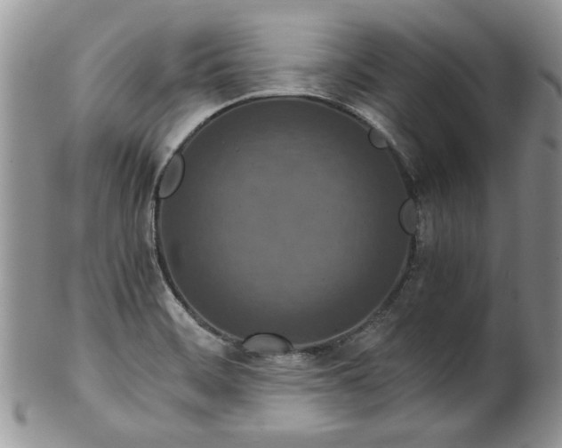 X0000100401468200806131003