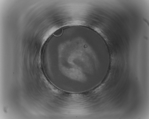 X0000100401469200806131003