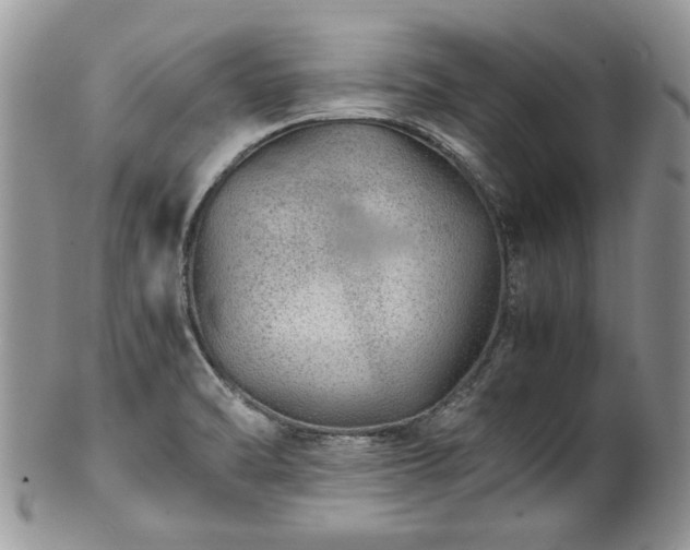 X0000100401470200806131003