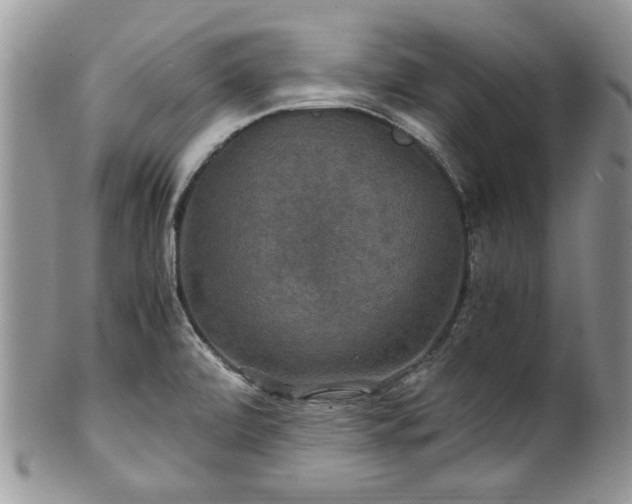 X0000100401472200806131003