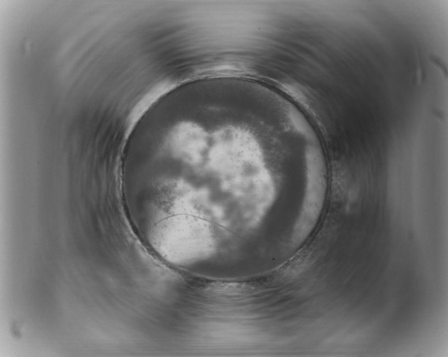 X0000100401474200806131003