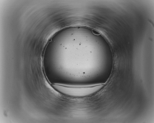 X0000100401476200806131003