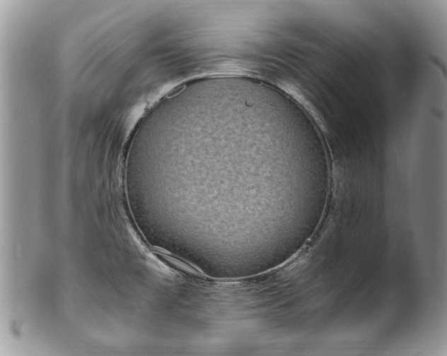 X0000100401477200806131003
