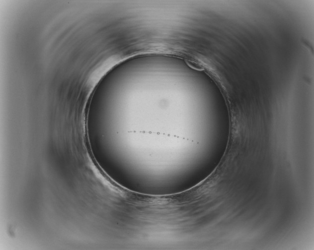 X0000100401479200806131003