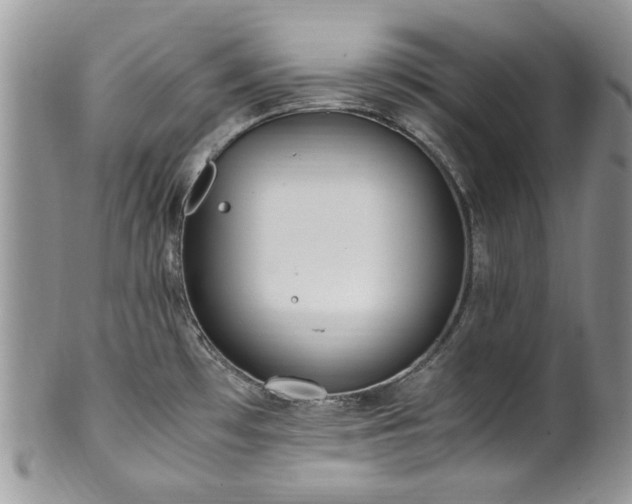 X0000100401481200806131003