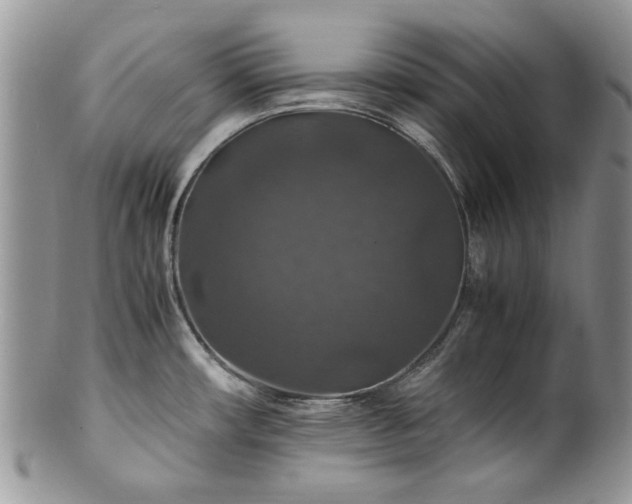 X0000100401482200806131003