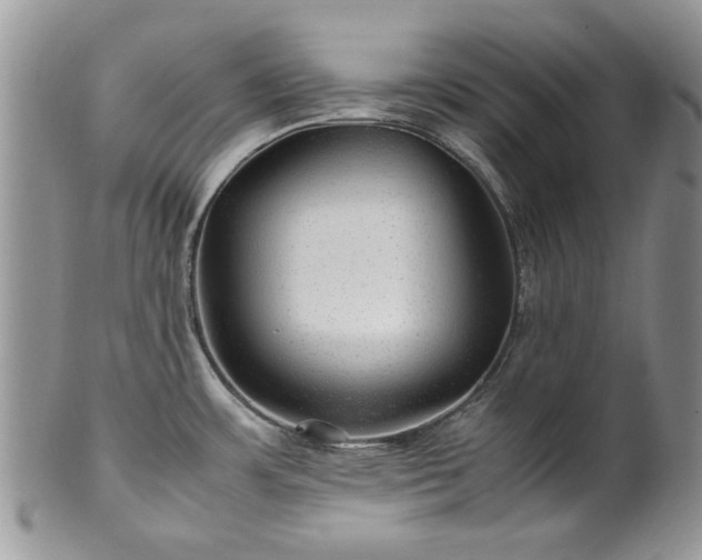 X0000100401483200806131003