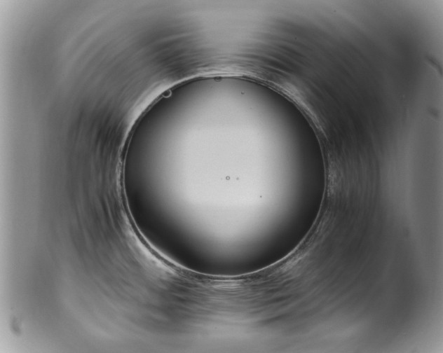 X0000100401484200806131003