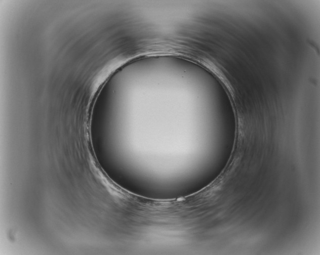 X0000100401485200806131003