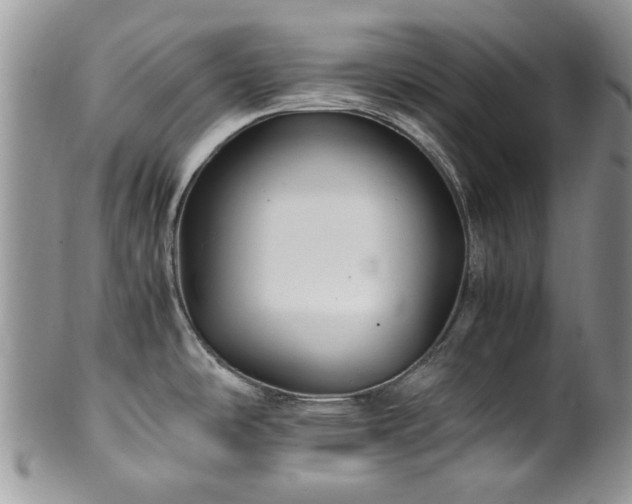 X0000100401486200806131003