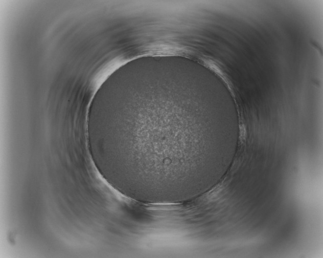 X0000100401487200806131003