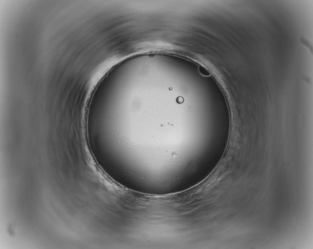 X0000100401488200806131003