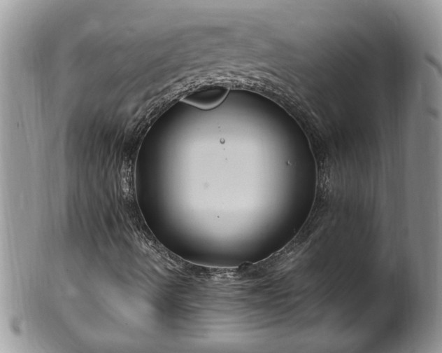 X0000100401490200806131002