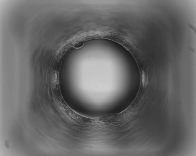 X0000100401492200806131002