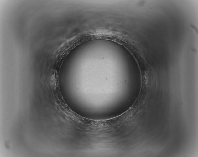 X0000100401493200806131002