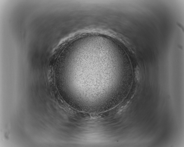 X0000100401494200806131002