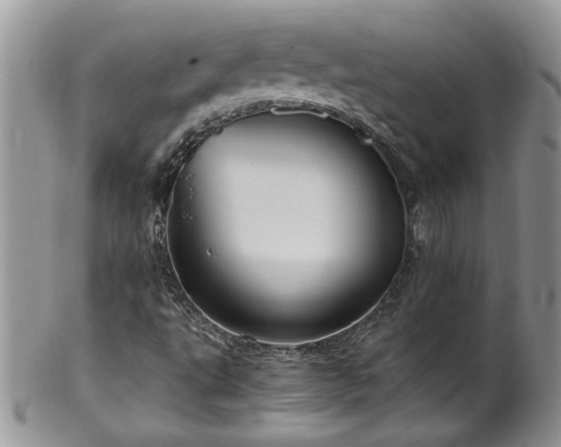 X0000100401495200806131002
